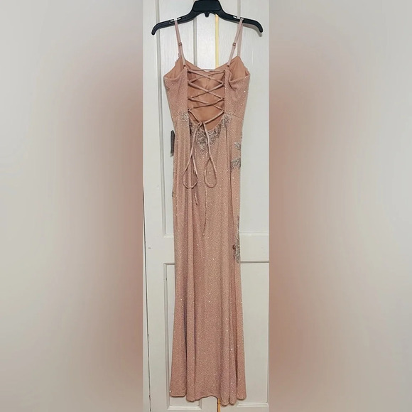 XSCAPE EMBELLISHED & EMBROIDERED GOWN IN BLUSH/ SILVER - Picture 8 of 12